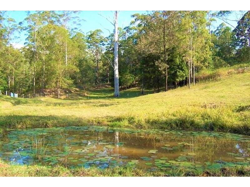 139 Diamond Valley Road, Diamond Valley QLD 4553