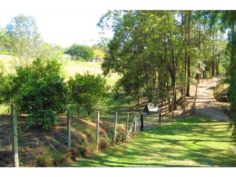 139 Diamond Valley Road, Diamond Valley QLD 4553