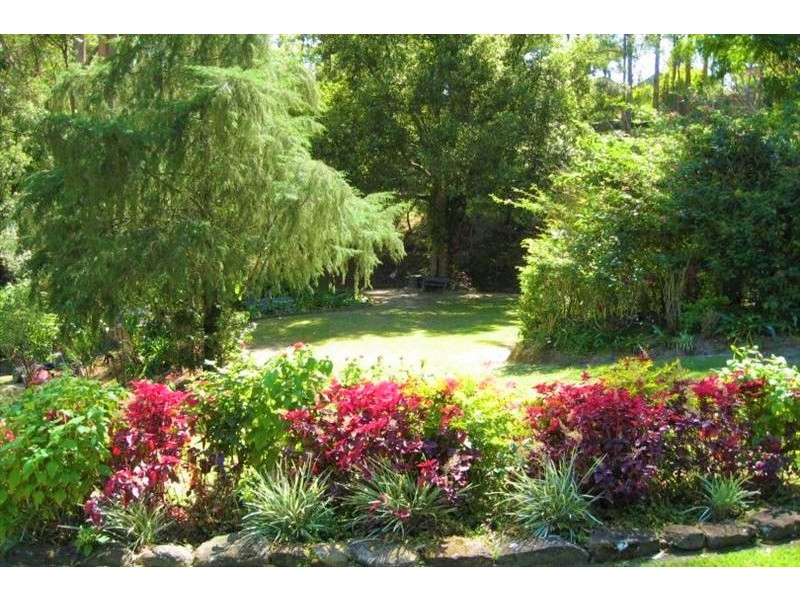 139 Diamond Valley Road, Diamond Valley QLD 4553