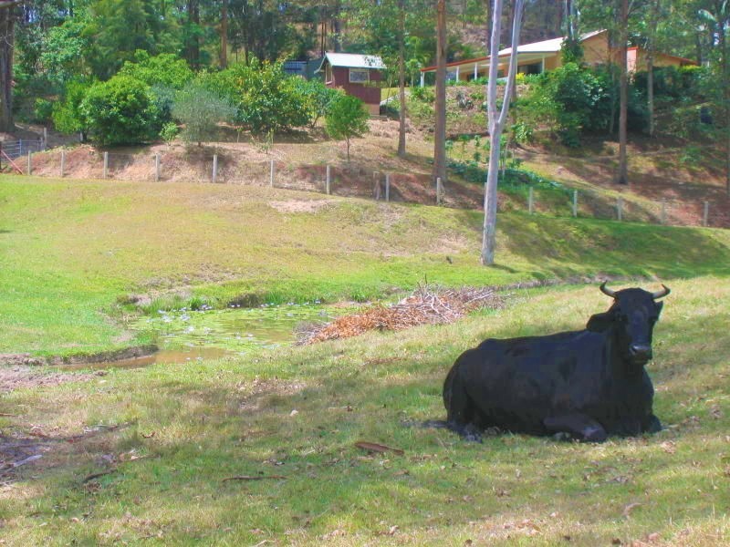 139 Diamond Valley Road, Diamond Valley QLD 4553