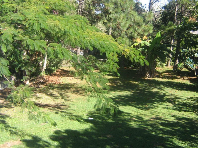 4 Edridge Street, Shelly Beach QLD 4551