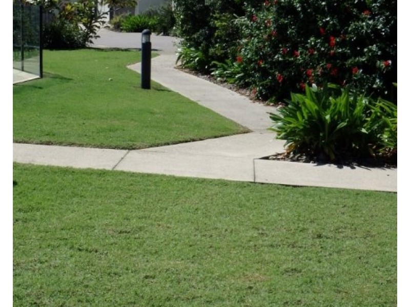 43/11 Toral Dr, Buderim QLD 4556