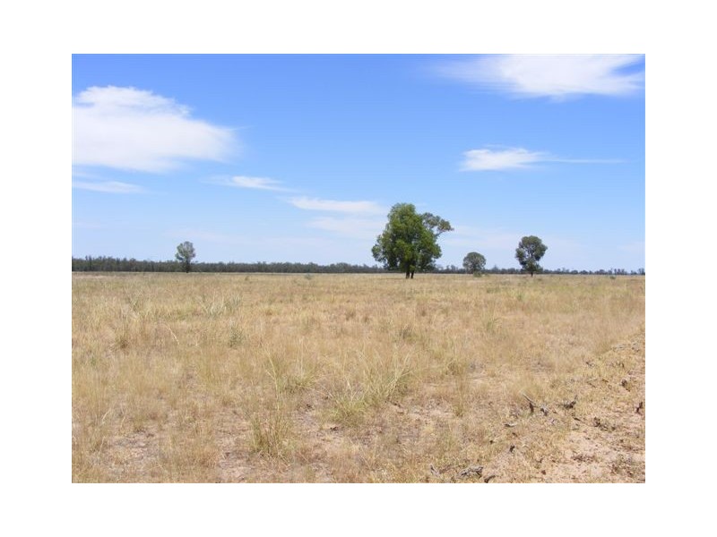 Lot 4 Wayga-Wondalli Rd-”Grasstrees”, Caloundra QLD 4551