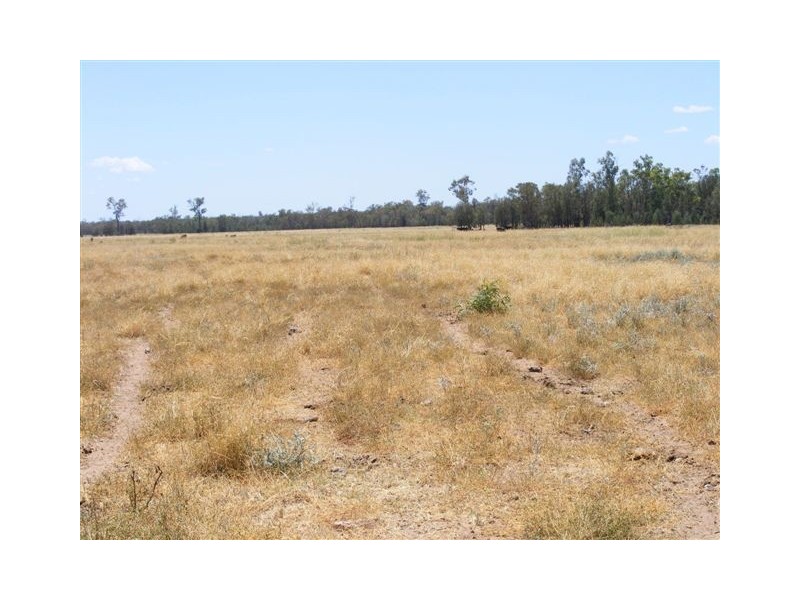 Lot 4 Wayga-Wondalli Rd-”Grasstrees”, Caloundra QLD 4551