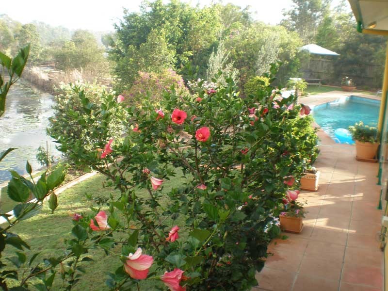 20 Undanbi Pl, Pelican Waters QLD 4551