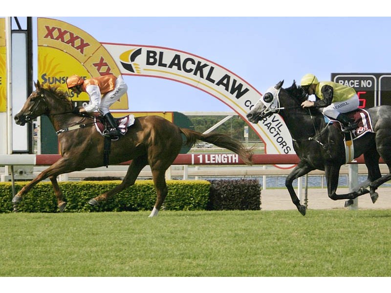 12/35 Landsborough Pde-Windward Passage, Golden Beach QLD 4551