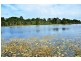 84/1 Millennium Cct, Pelican Waters QLD 4551