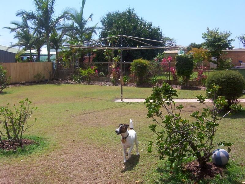 Golden Beach QLD 4551