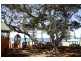 3/18 Queen Of Colonies- Seashells, Moffat Beach QLD 4551
