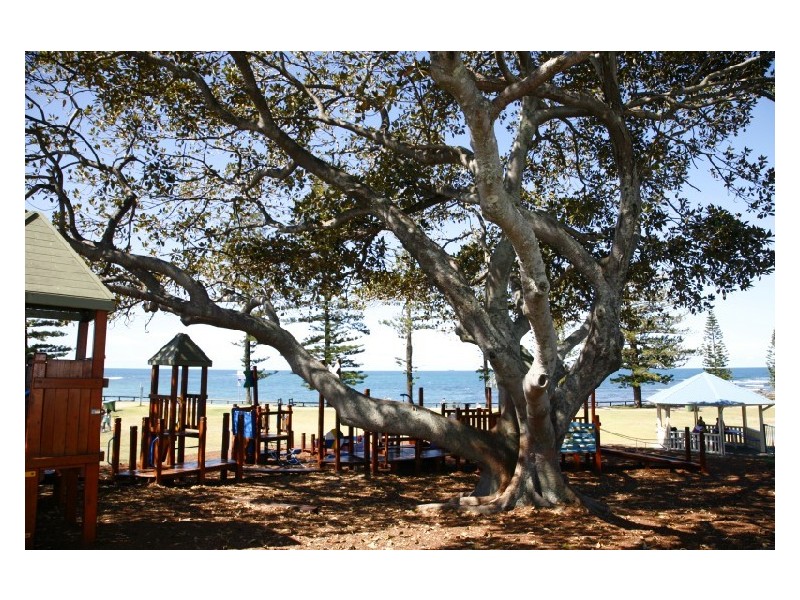 3/18 Queen Of Colonies- Seashells, Moffat Beach QLD 4551