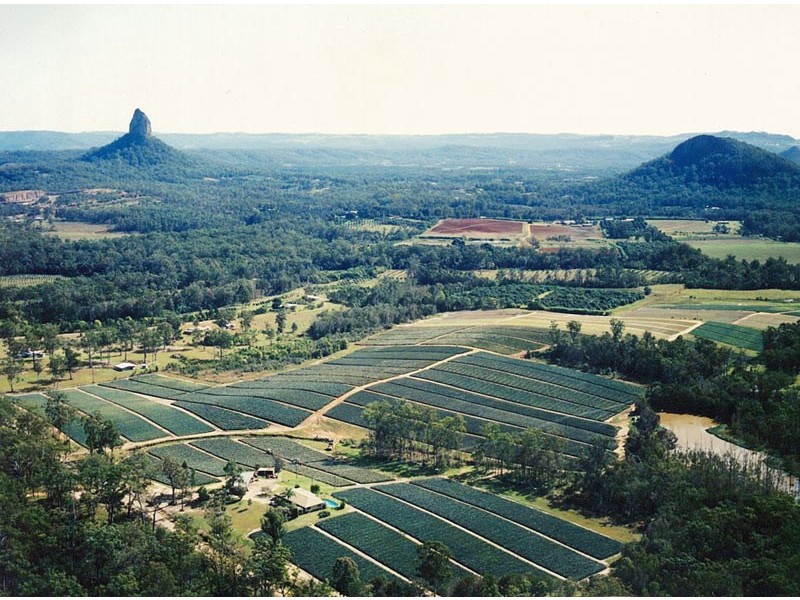 Glass House Mountains QLD 4518