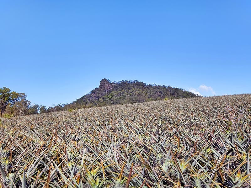 Glass House Mountains QLD 4518