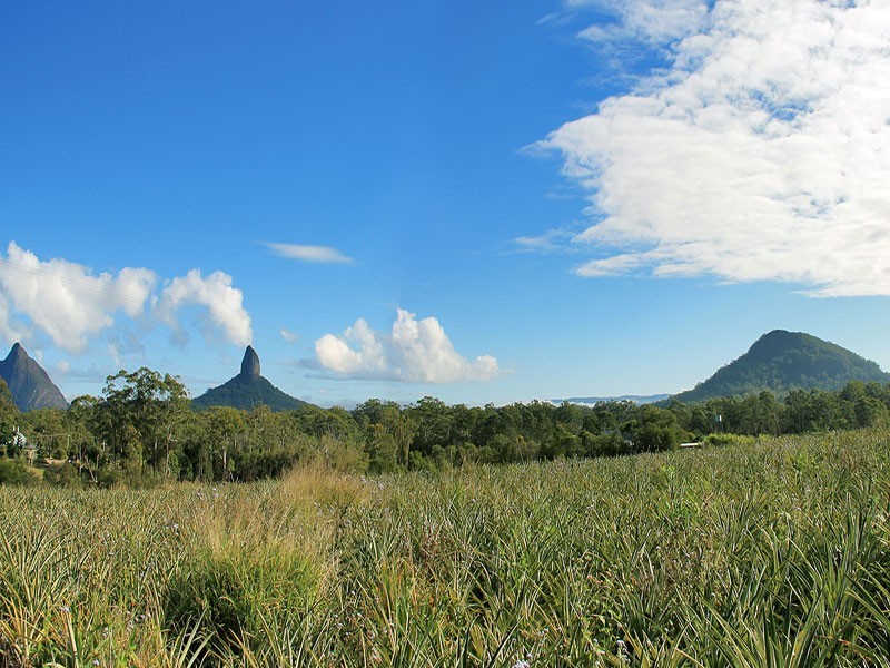 Glass House Mountains QLD 4518