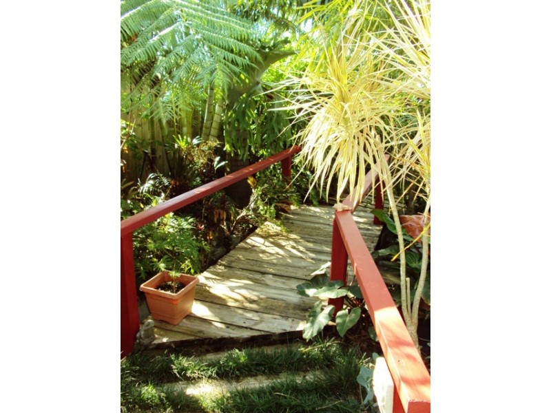 41 Marawa Drive, Buddina QLD 4575