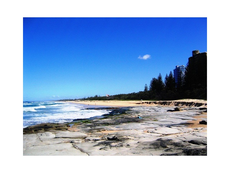 41 Marawa Drive, Buddina QLD 4575