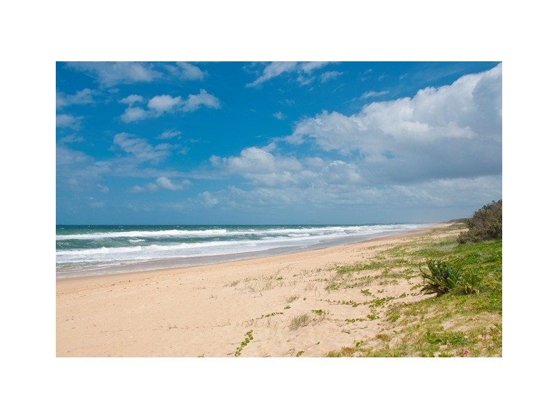 41 Marawa Drive, Buddina QLD 4575