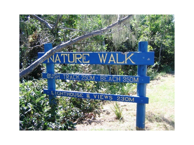 41 Marawa Drive, Buddina QLD 4575