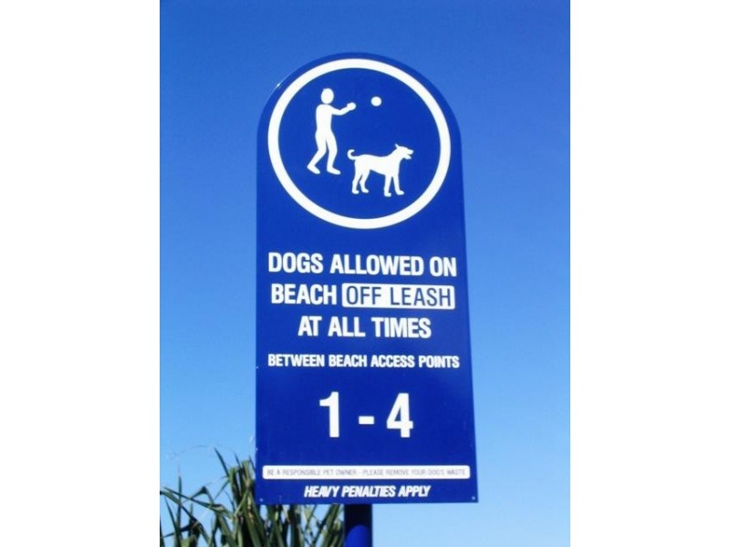 41 Marawa Drive, Buddina QLD 4575