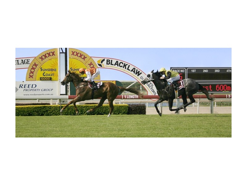 6 Tempest Street, Caloundra West QLD 4551