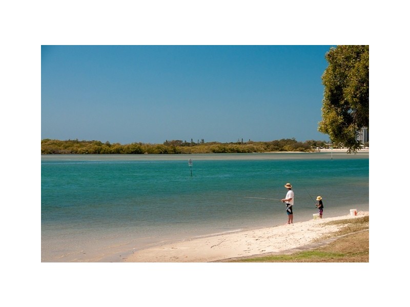 Maroochydore QLD 4558