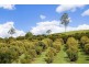 99 Candle Mountain Drive, Crohamhurst QLD 4519