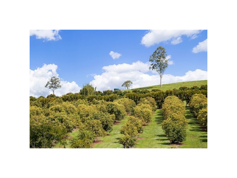 99 Candle Mountain Drive, Crohamhurst QLD 4519