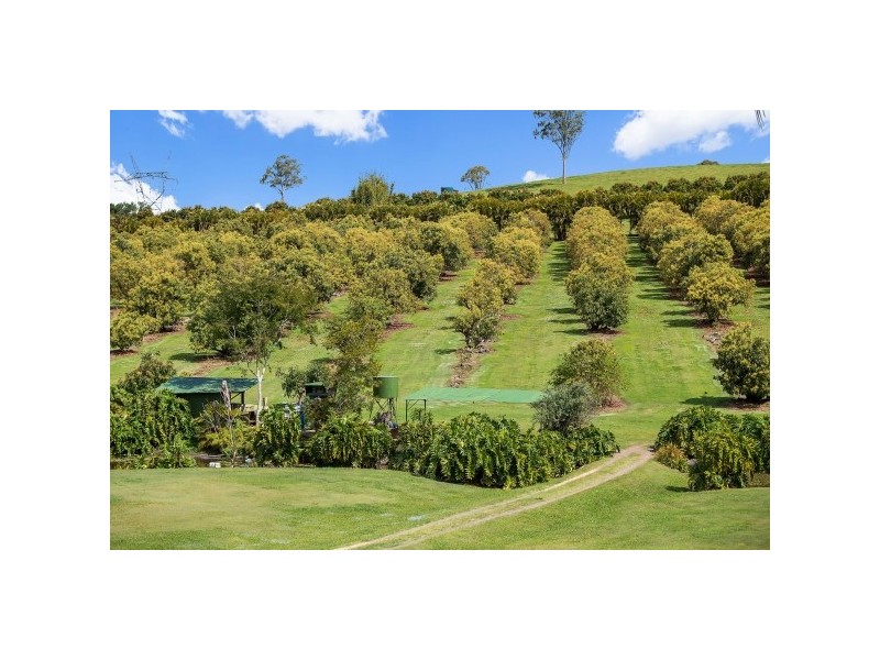 99 Candle Mountain Drive, Crohamhurst QLD 4519