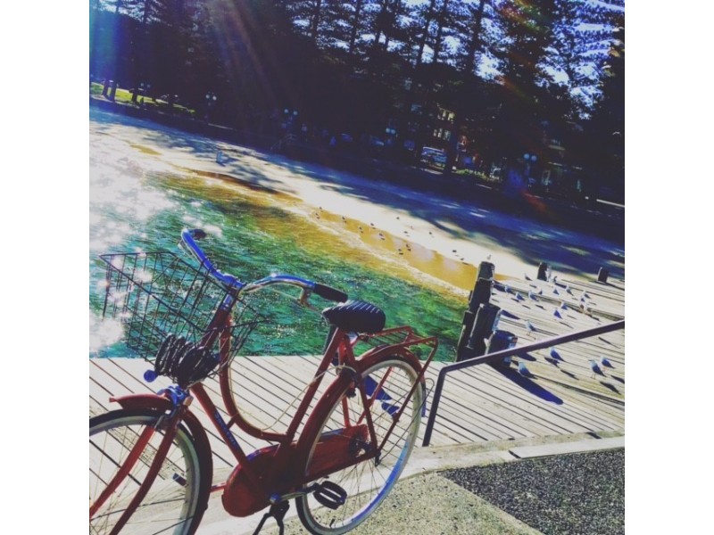 3 Steinton Street, Manly NSW 2095