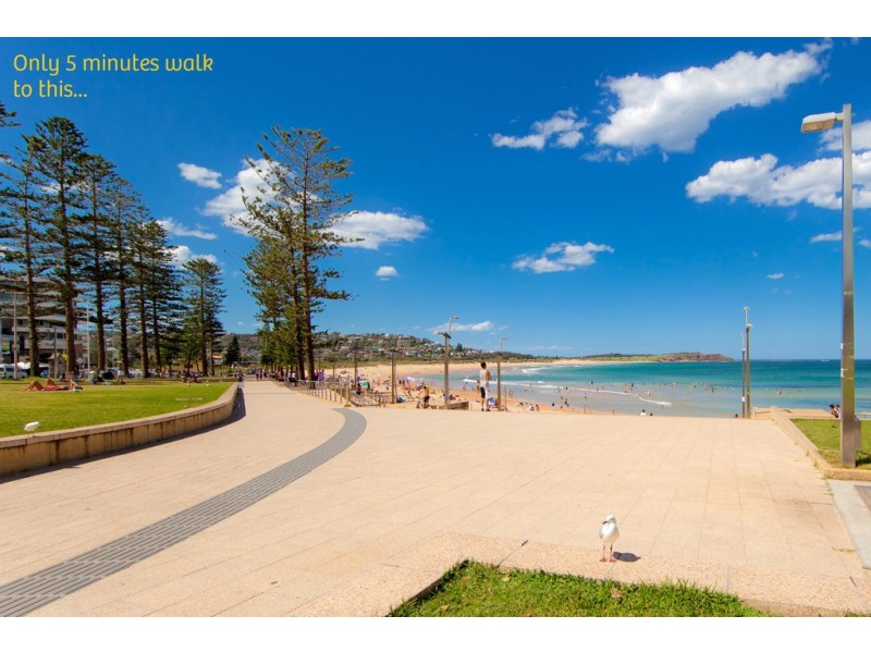 10/109 Pacific Pde, Dee Why NSW 2099