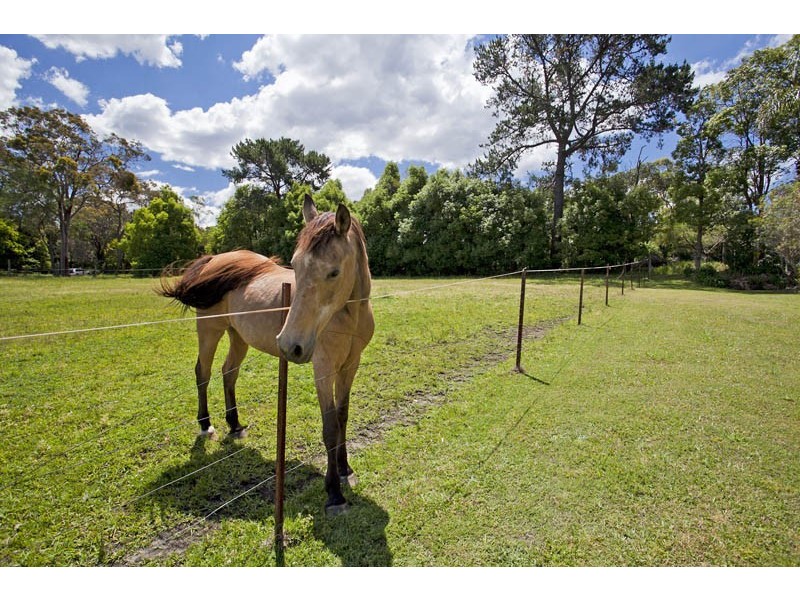 218 Powderworks Road, Ingleside NSW 2101