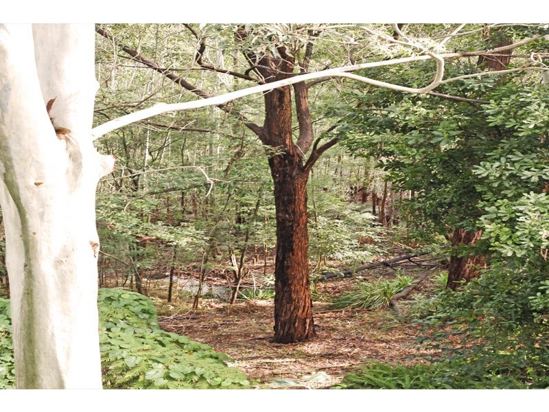 19 Cashel Crescent, Killarney Heights NSW 2087