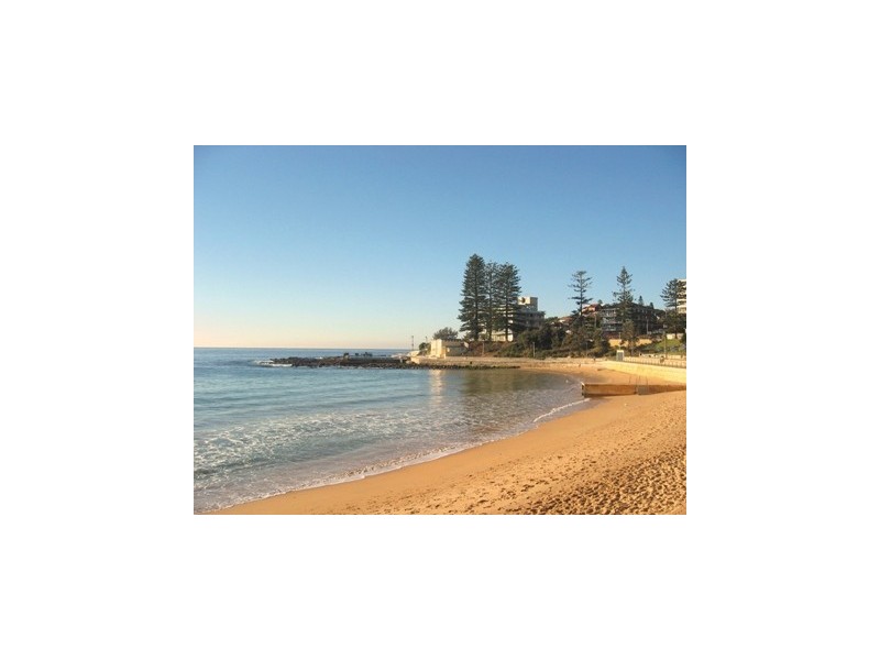 4/97 Howard Avenue, Dee Why NSW 2099