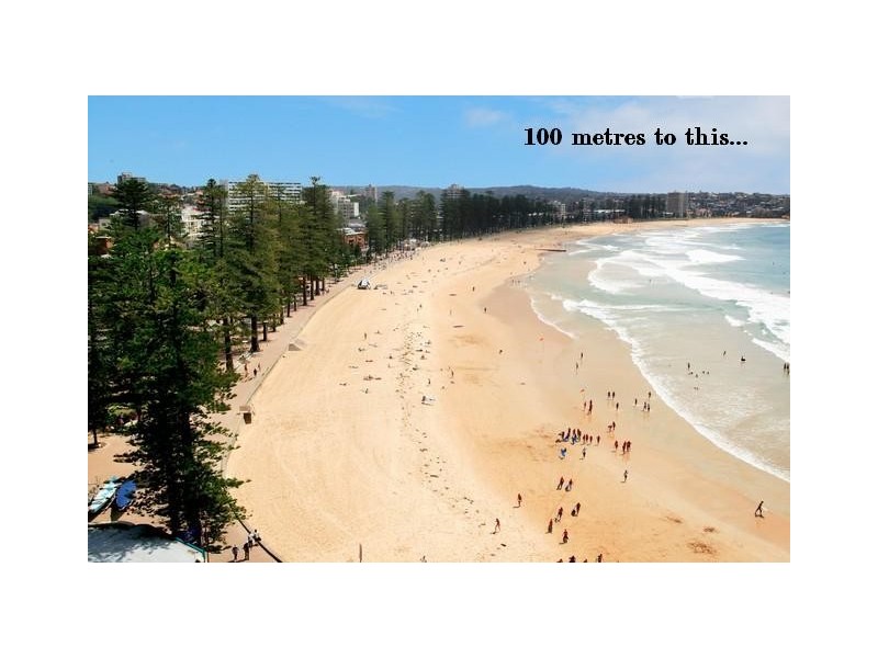 8/127 Bower Street, Manly NSW 2095