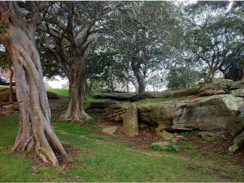 2/1 Camera Street, Manly NSW 2095