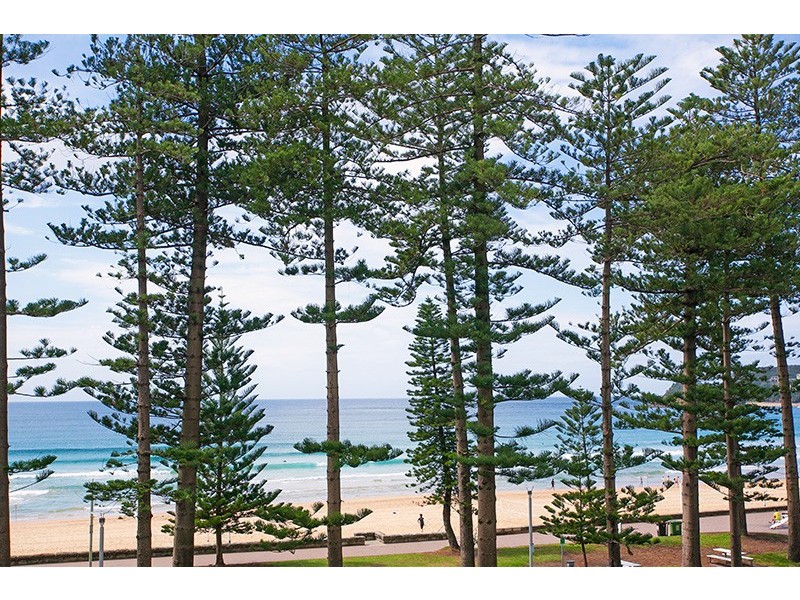 11/66 North Steyne, Manly NSW 2095