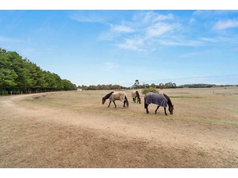 29 Payne Rd, New Gisborne VIC 3438