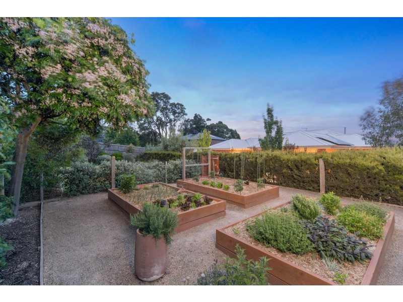 11 Harvard Court, Gisborne VIC 3437