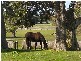 602 Couangalt Road, Gisborne VIC 3437