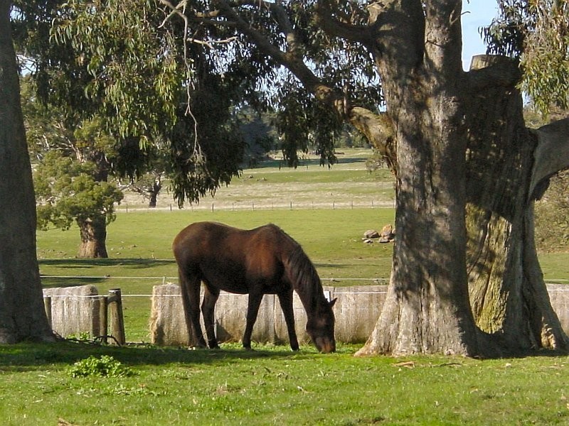 602 Couangalt Road *, Gisborne South VIC 3437