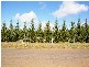 Lot 2 Willowbank Rd, Gisborne VIC 3437