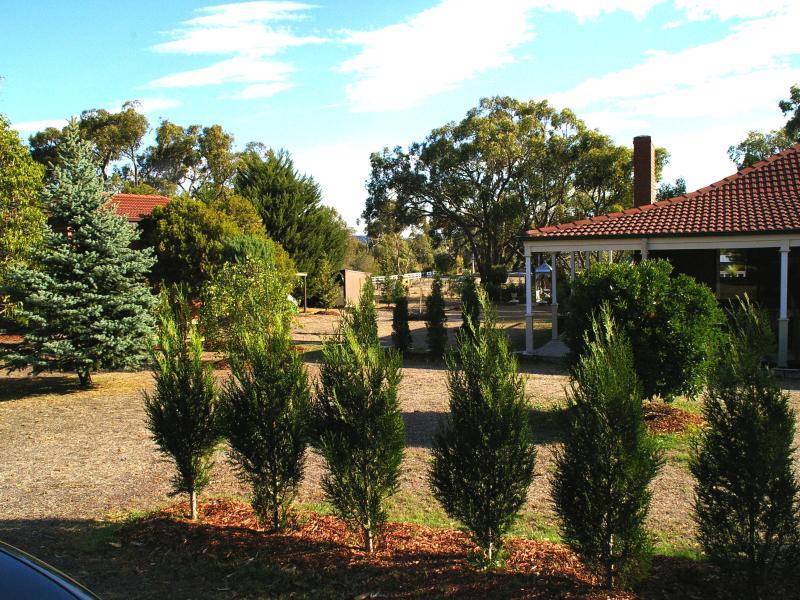 Riddells Creek VIC 3431