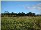 Lot 3 Hutchinsons Lane, Romsey VIC 3434