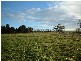 Lot 3 Hutchinsons Lane, Romsey VIC 3434