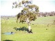 416 Blackhill Rd, Toolern Vale VIC 3337