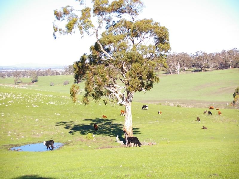 416 Blackhill Rd, Toolern Vale VIC 3337