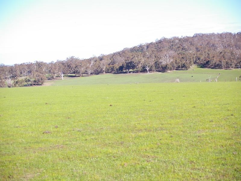 416 Blackhill Rd, Toolern Vale VIC 3337