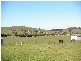 10 Namnan Way, Gisborne South VIC 3437