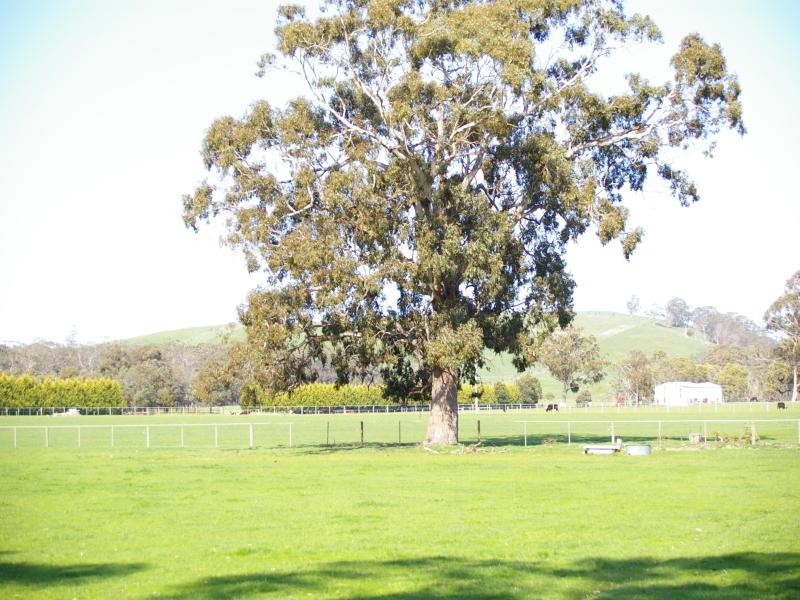 917 Bacchus Marsh Rd*, Gisborne VIC 3437