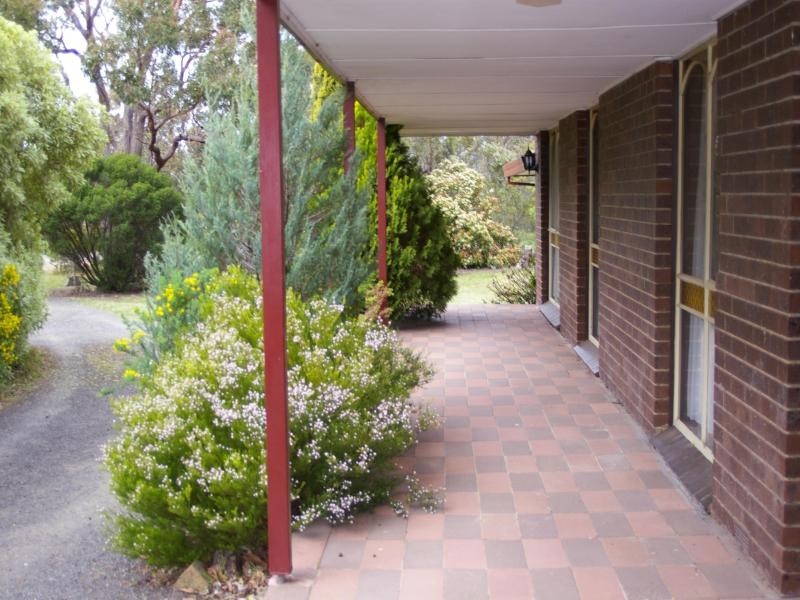 47 Sandy Creek Rd, Riddells Creek VIC 3431
