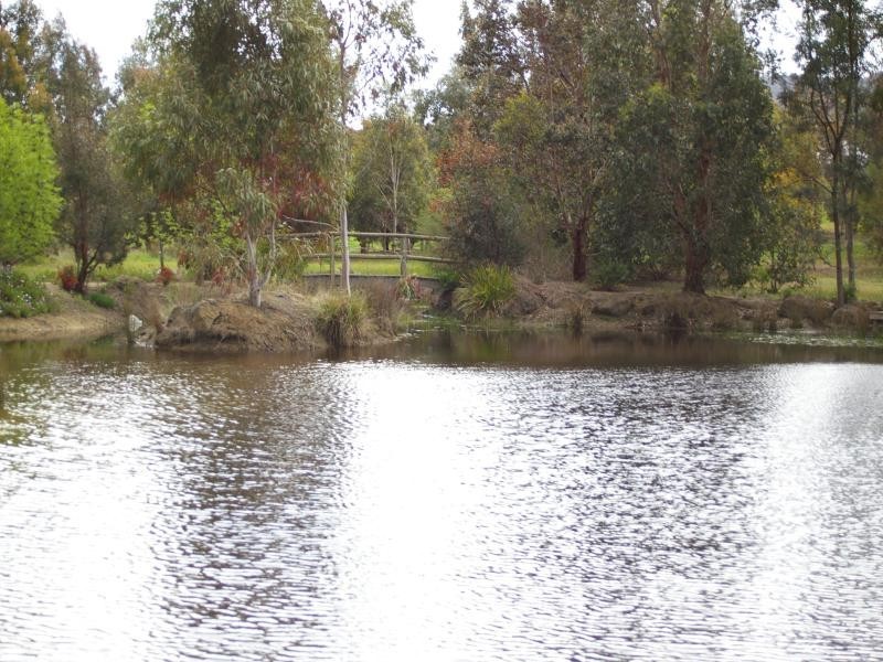 21 Cutevan Crs*, Riddells Creek VIC 3431